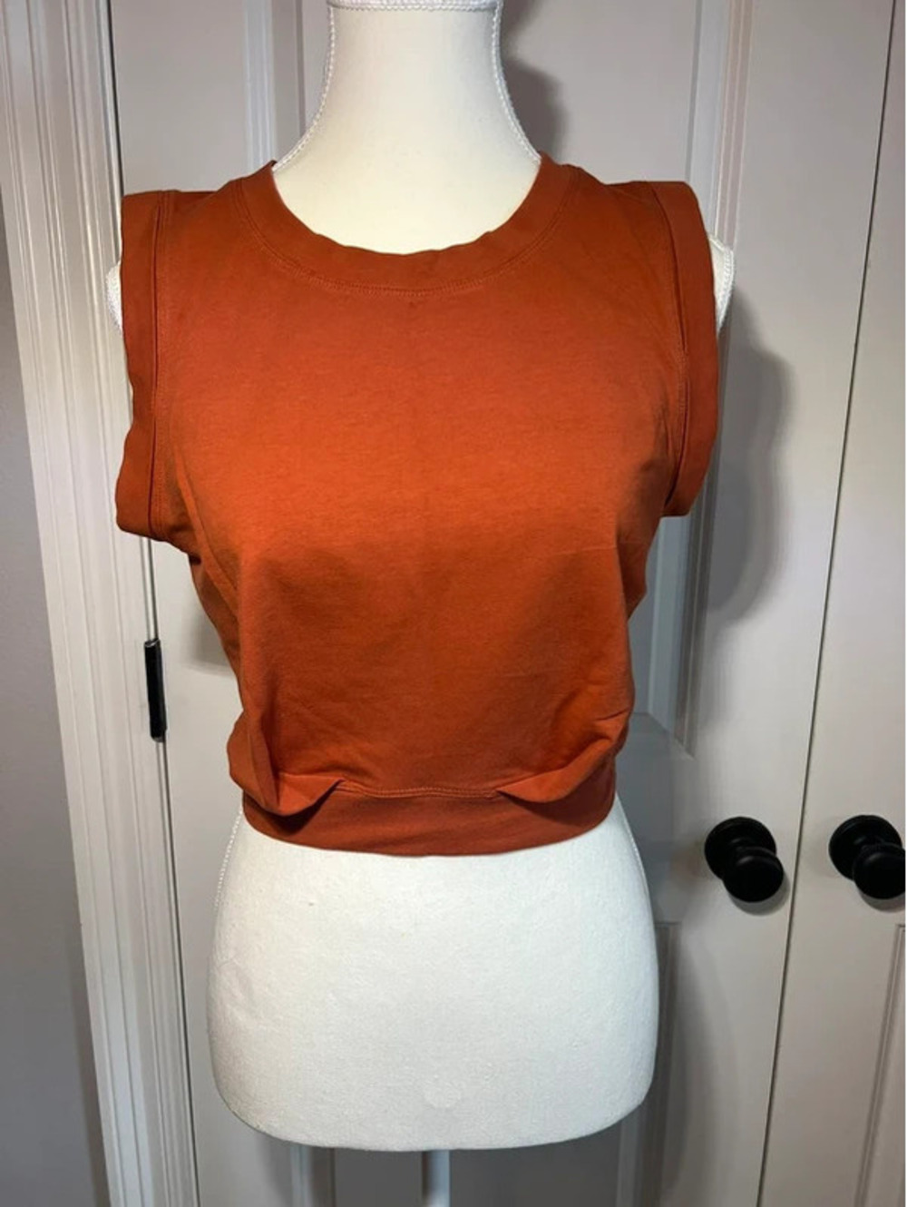 Arrive Guide rust orange sleeveless athletic crop top